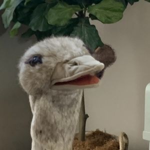 Meet your Posher, Larisa